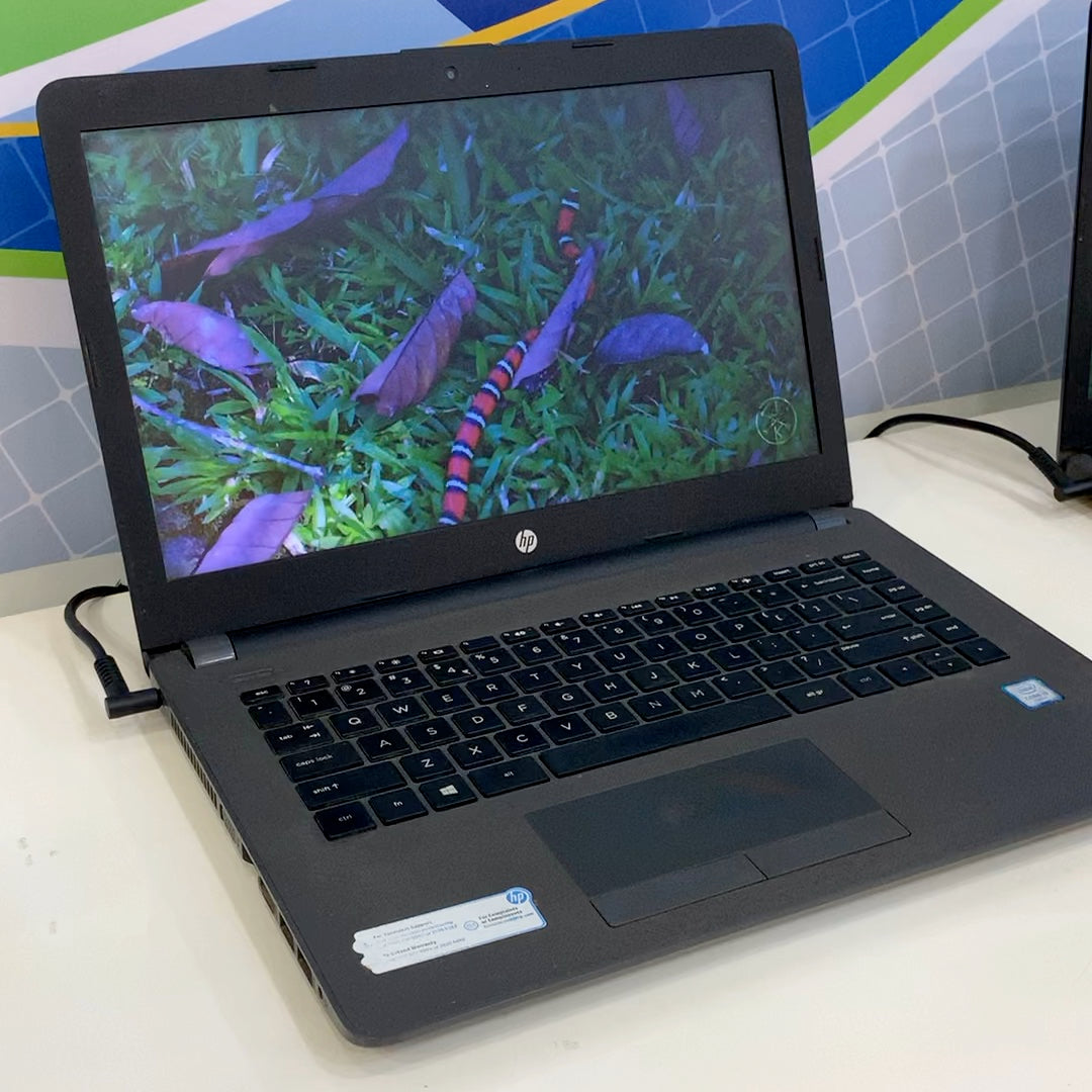 Reborn Computers